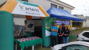 Feira Dia da Árvore