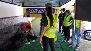 Feira Dia da Árvore