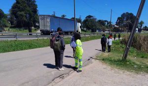 Viva Pedestre e Viva Ciclista