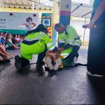 Simulação de atendimento pré hospitalar pela equipe BR Vida.
