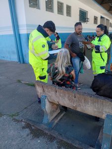 Preenchimento do formulários e orientações.