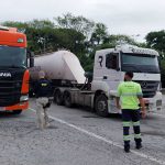 Abordagem e orientação