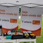 Estrutura da ação