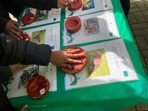 Dinâmica com os alunos: Qual é o bicho?